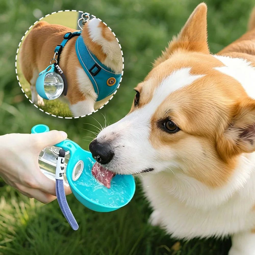 Portable Dog Water Bottle Bowl