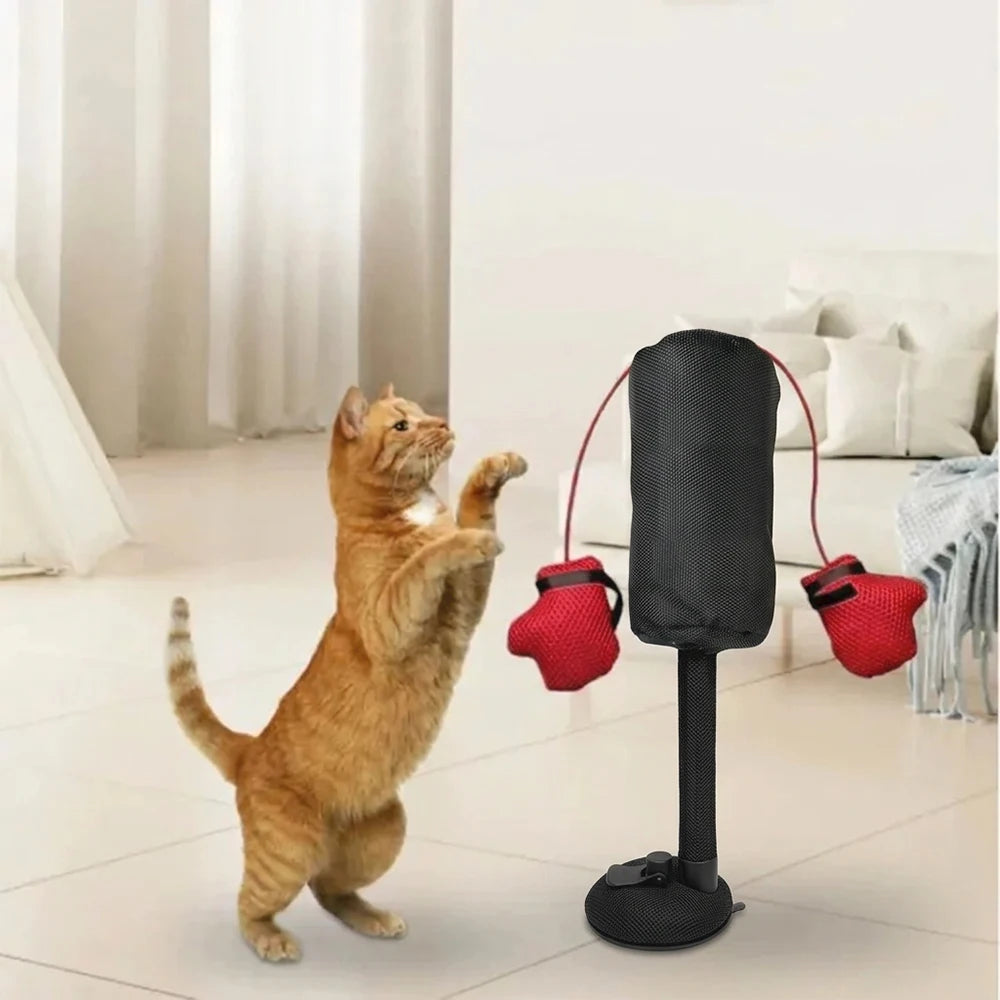 Cat Boxing Punch Toy